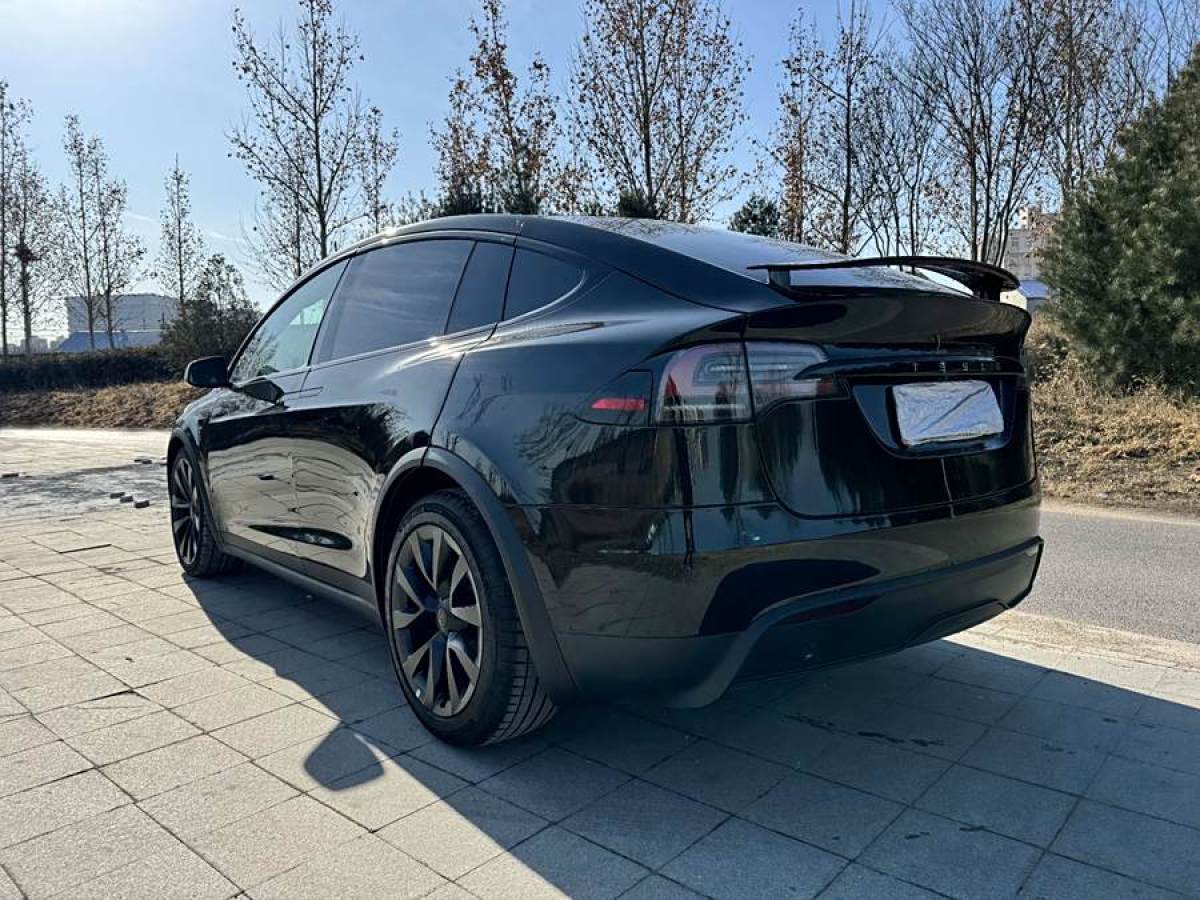 特斯拉 Model X  2023款 雙電機(jī)全輪驅(qū)動(dòng)版圖片