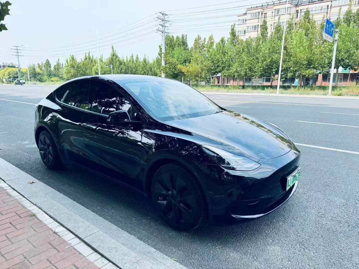 2022年1月特斯拉 Model Y  2022款 Performance高性能全輪驅(qū)動版