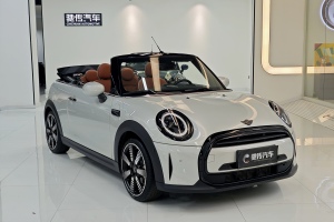 MINI MINI 1.5T COOPER CABRIO 藝術(shù)家