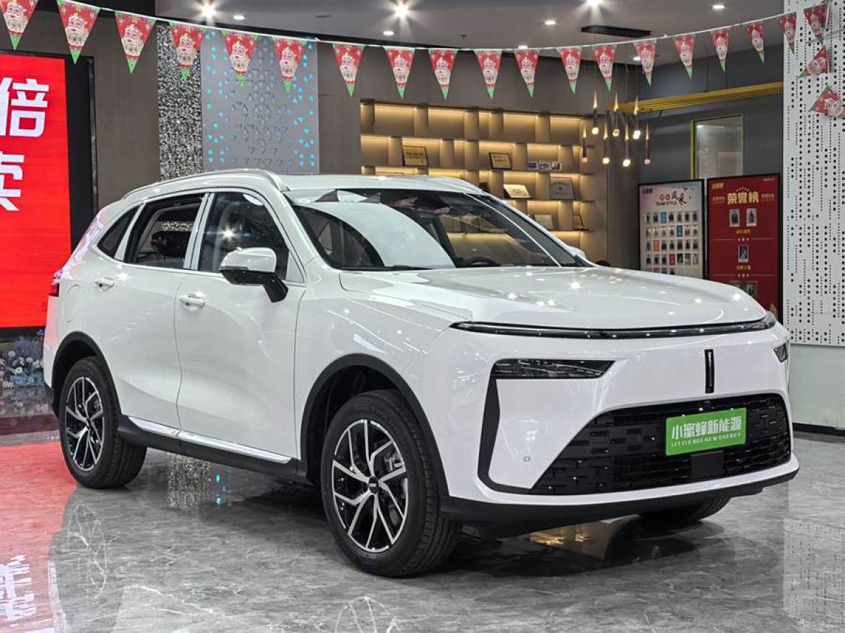 WEY 拿鐵DHT-PHEV  2022款 1.5T 四驅(qū)超大杯圖片