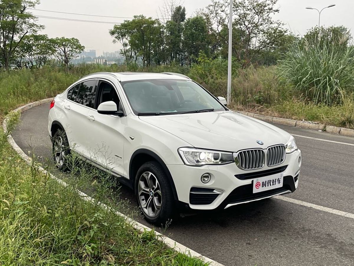 寶馬 寶馬X4  2014款 xDrive20i X設(shè)計(jì)套裝圖片