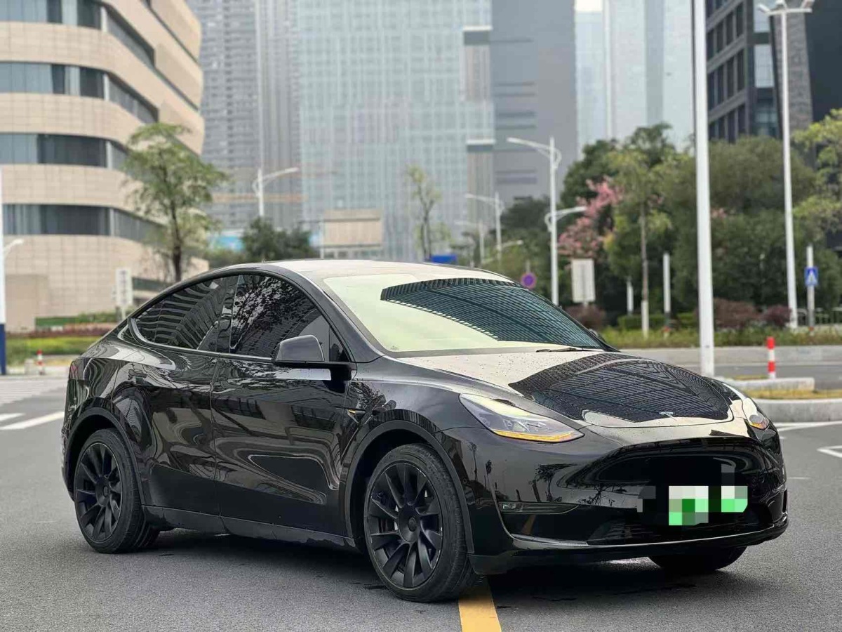 特斯拉 Model 3  2021款 改款 標(biāo)準(zhǔn)續(xù)航后驅(qū)升級(jí)版圖片