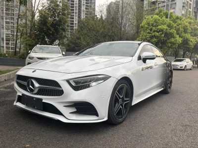 2020年2月 奔馳 奔馳CLS級(jí)(進(jìn)口) CLS 300 動(dòng)感型圖片