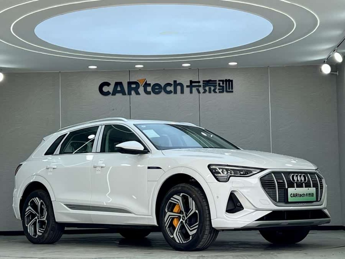 奧迪 奧迪e-tron  2021款 50 quattro 臻選型圖片