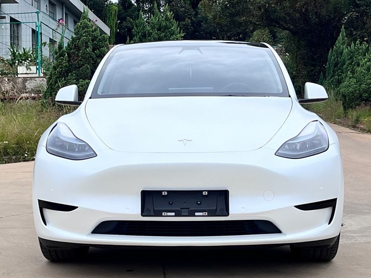 特斯拉 Model Y  2020款 改款 長(zhǎng)續(xù)航后輪驅(qū)動(dòng)版圖片