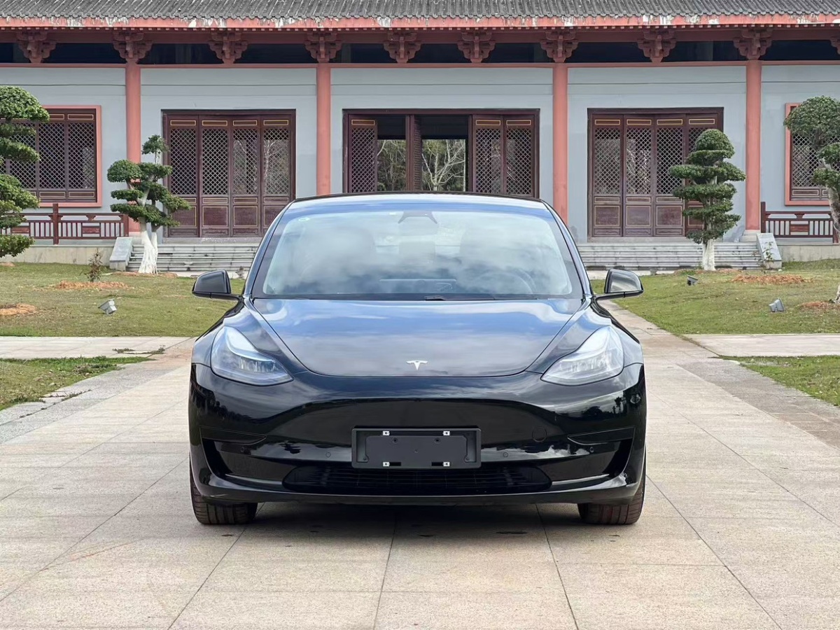 特斯拉 Model 3  2021款 改款 標準續(xù)航后驅(qū)升級版圖片