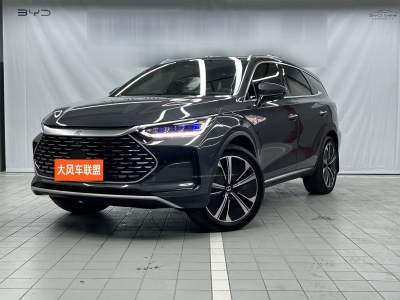 2022年10月 比亞迪 唐新能源 DM-p 215KM 四驅(qū)旗艦型圖片