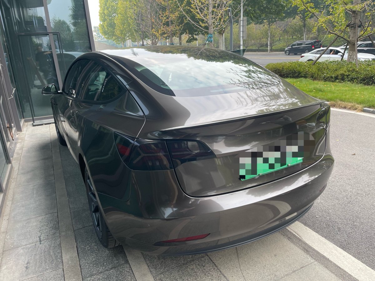 特斯拉 Model 3  2019款 標(biāo)準(zhǔn)續(xù)航后驅(qū)升級版圖片