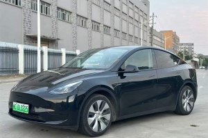 Model Y 特斯拉 改款 后輪驅(qū)動(dòng)版