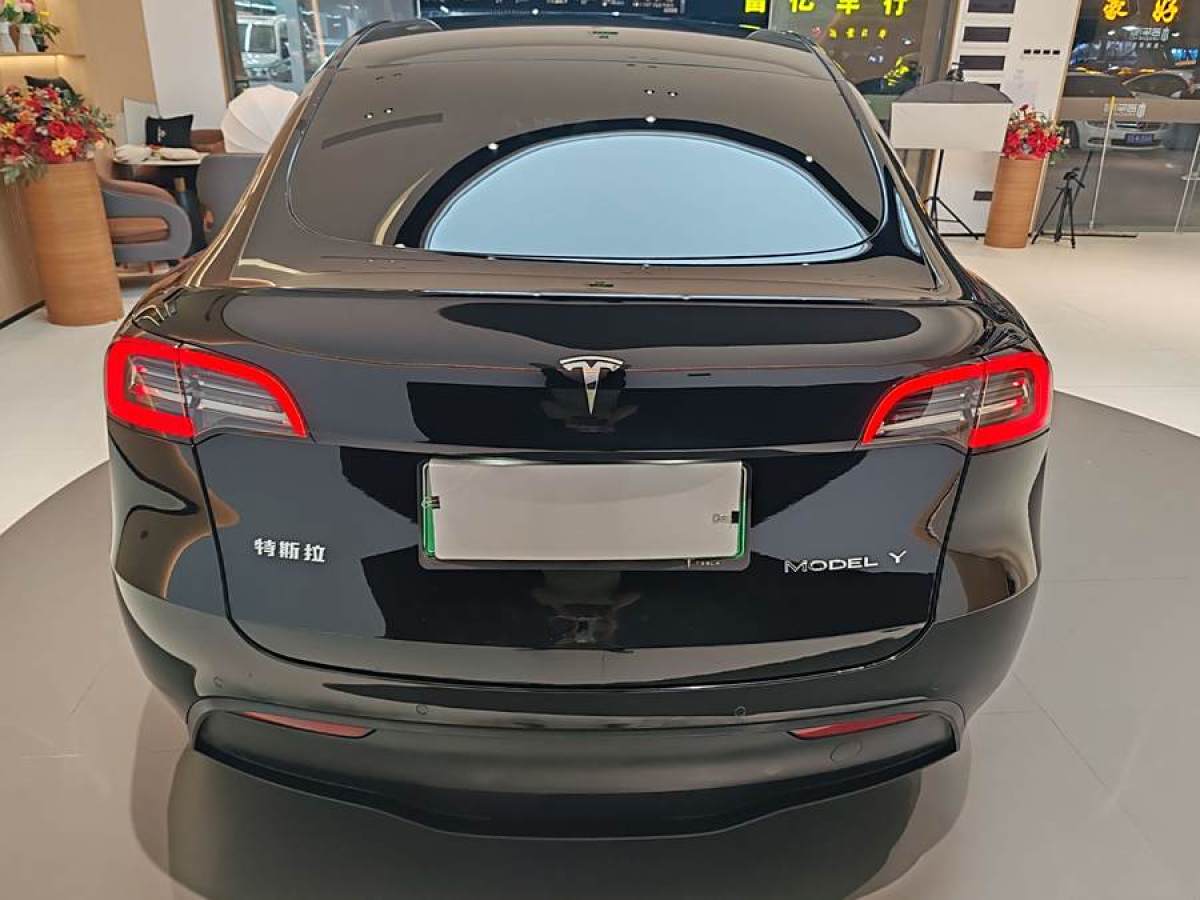 特斯拉 Model Y  2021款 改款 標準續(xù)航后驅(qū)升級版圖片