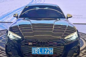 奥迪RS 5 奥迪 RS5 Coupe 暗金版