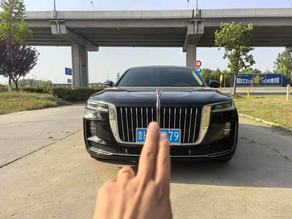 紅旗 紅旗HS5  2022款 2.0T 智聯(lián)旗享樂購版圖片