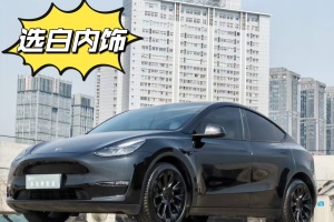 Model Y 特斯拉 改款 長續(xù)航全輪驅(qū)動版