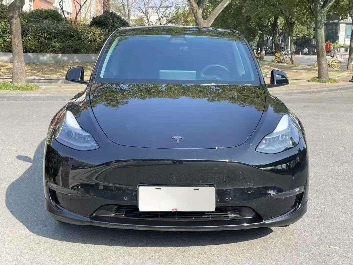 特斯拉 Model 3  2022款 Performance高性能全輪驅(qū)動版圖片