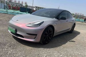 Model 3 特斯拉 改款 標(biāo)準(zhǔn)續(xù)航后驅(qū)升級版