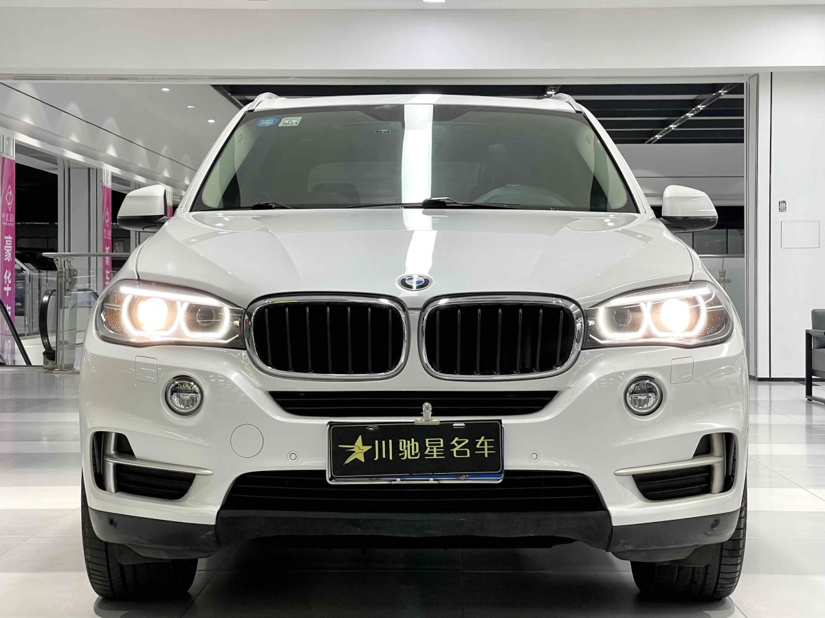 寶馬 寶馬X5  2014款 xDrive35i 領(lǐng)先型圖片