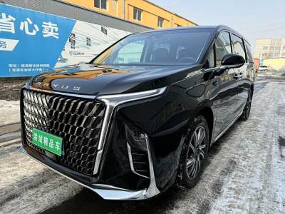 2022年5月 上汽大通 上汽大通MAXUS G90 2.0T 星云七座版圖片