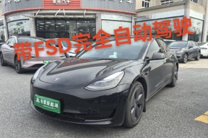 Model 3 特斯拉 改款 后轮驱动版