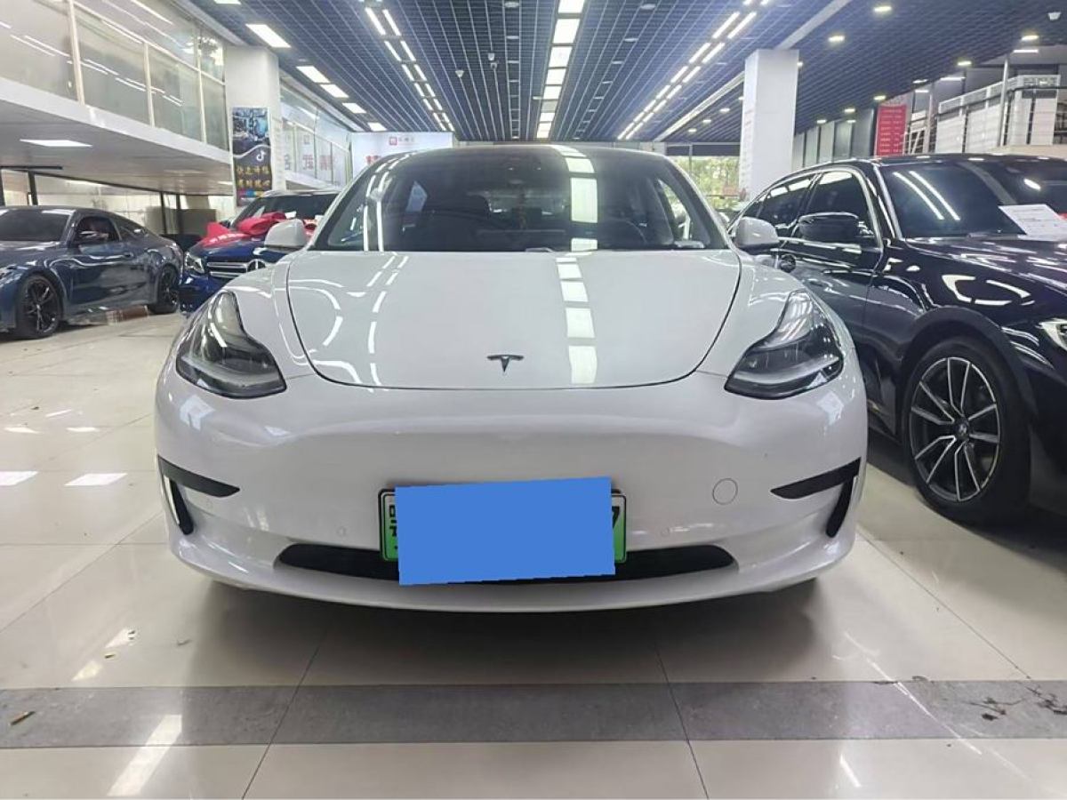 特斯拉 Model 3  2021款 改款 標(biāo)準(zhǔn)續(xù)航后驅(qū)升級(jí)版圖片