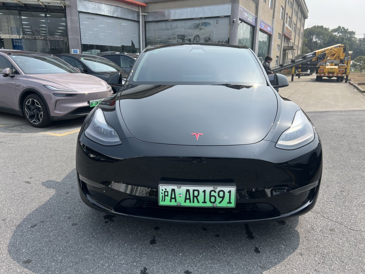 特斯拉 Model 3  2022款 Performance高性能全輪驅(qū)動版圖片