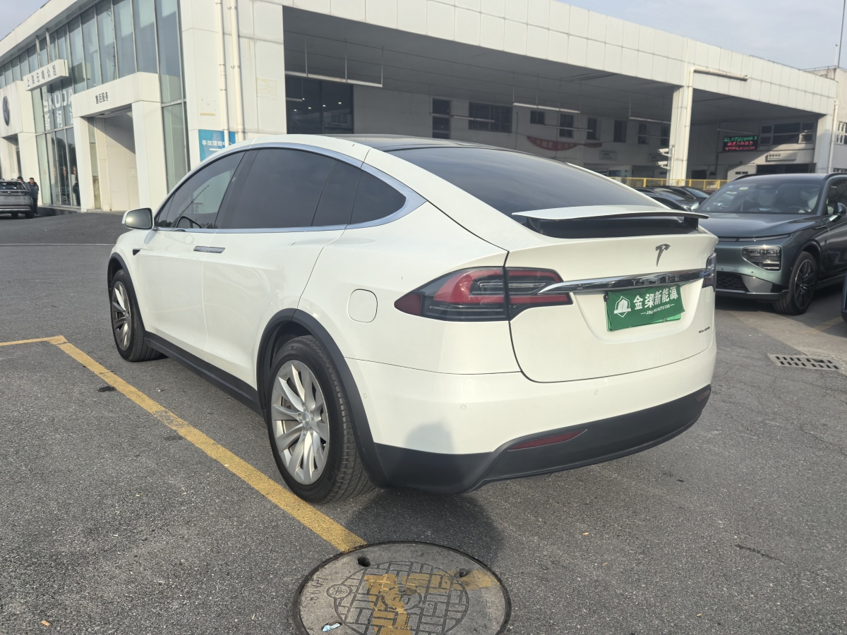 特斯拉 Model X  2019款 長續(xù)航版圖片