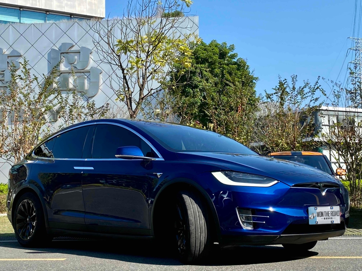 特斯拉 Model X  2017款 Model X 100D 長(zhǎng)續(xù)航版圖片