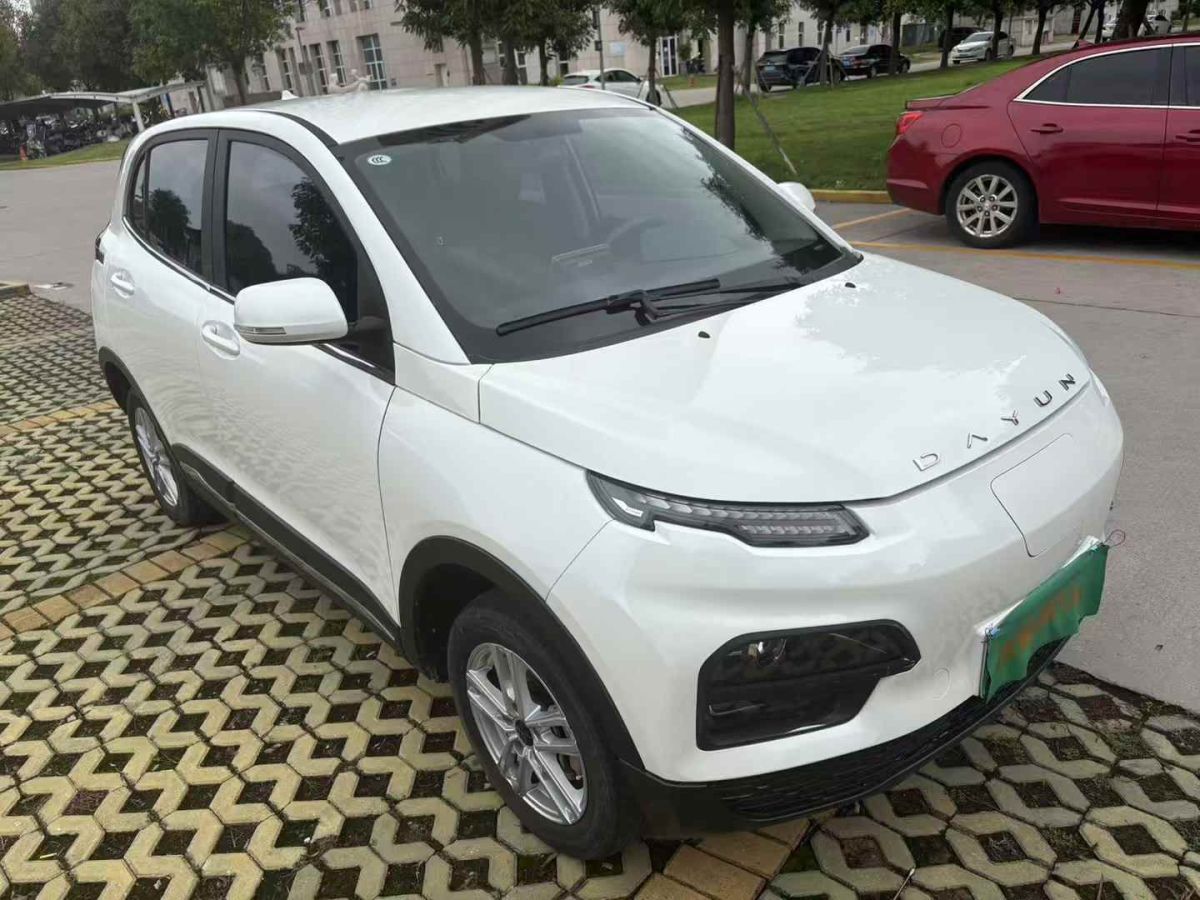 大運(yùn) 悅虎  2022款 30.66kWh 兩驅(qū)標(biāo)準(zhǔn)版圖片