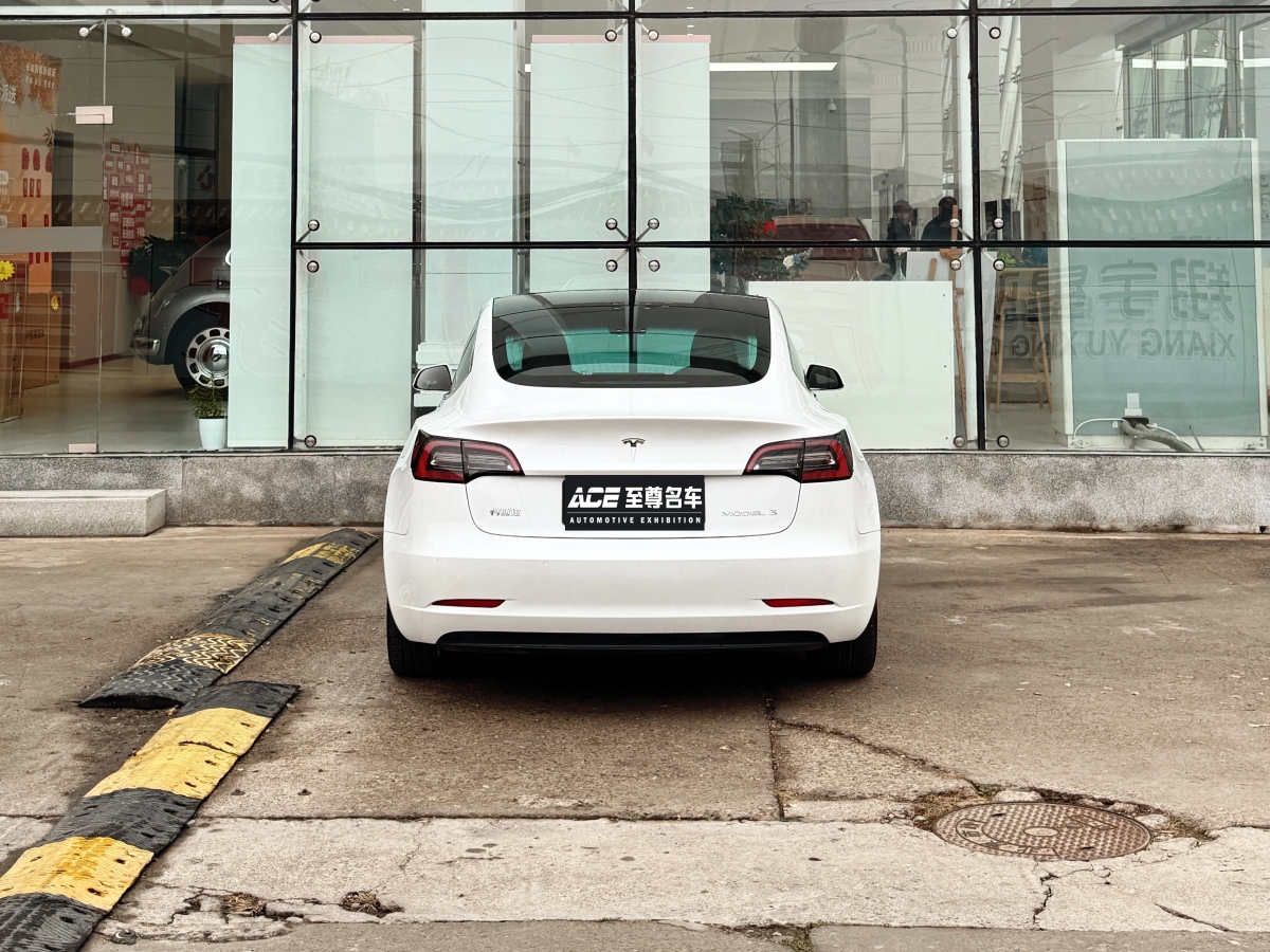 特斯拉 Model 3  2019款 標(biāo)準(zhǔn)續(xù)航后驅(qū)升級版圖片