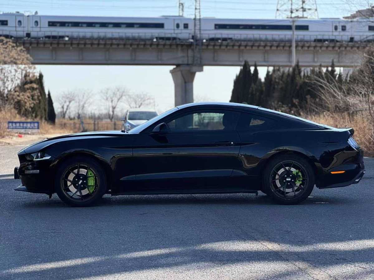 福特 Mustang  2019款 2.3L EcoBoost圖片