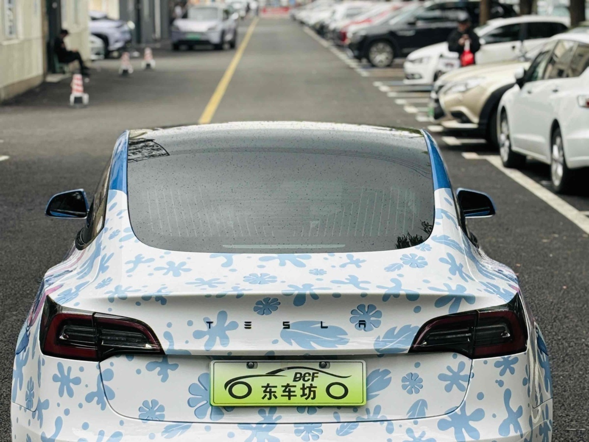 2020年11月特斯拉 Model 3  2019款 標準續(xù)航后驅(qū)升級版