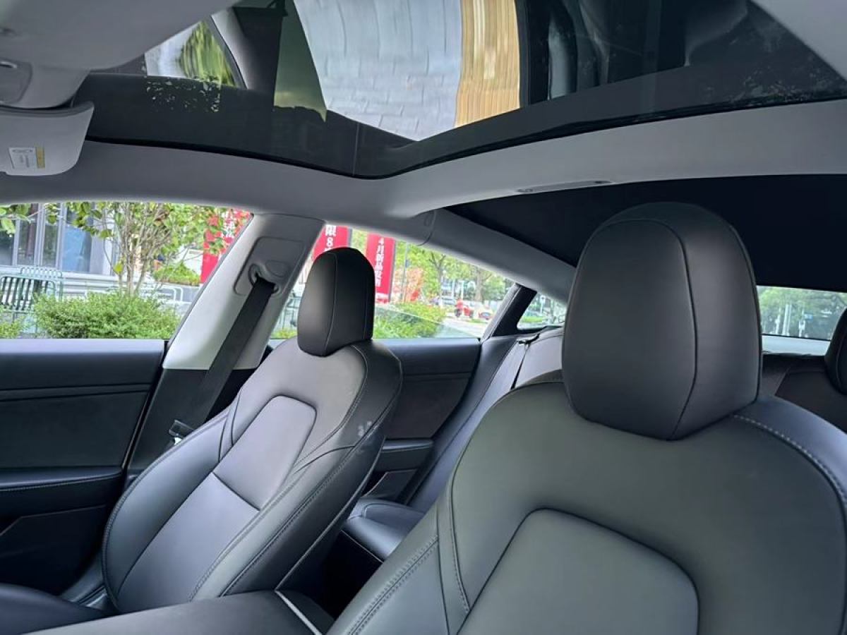 特斯拉 Model 3  2019款 標(biāo)準(zhǔn)續(xù)航后驅(qū)升級版圖片