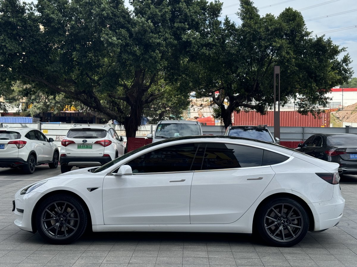 特斯拉 Model 3  2019款 標(biāo)準(zhǔn)續(xù)航后驅(qū)升級版圖片