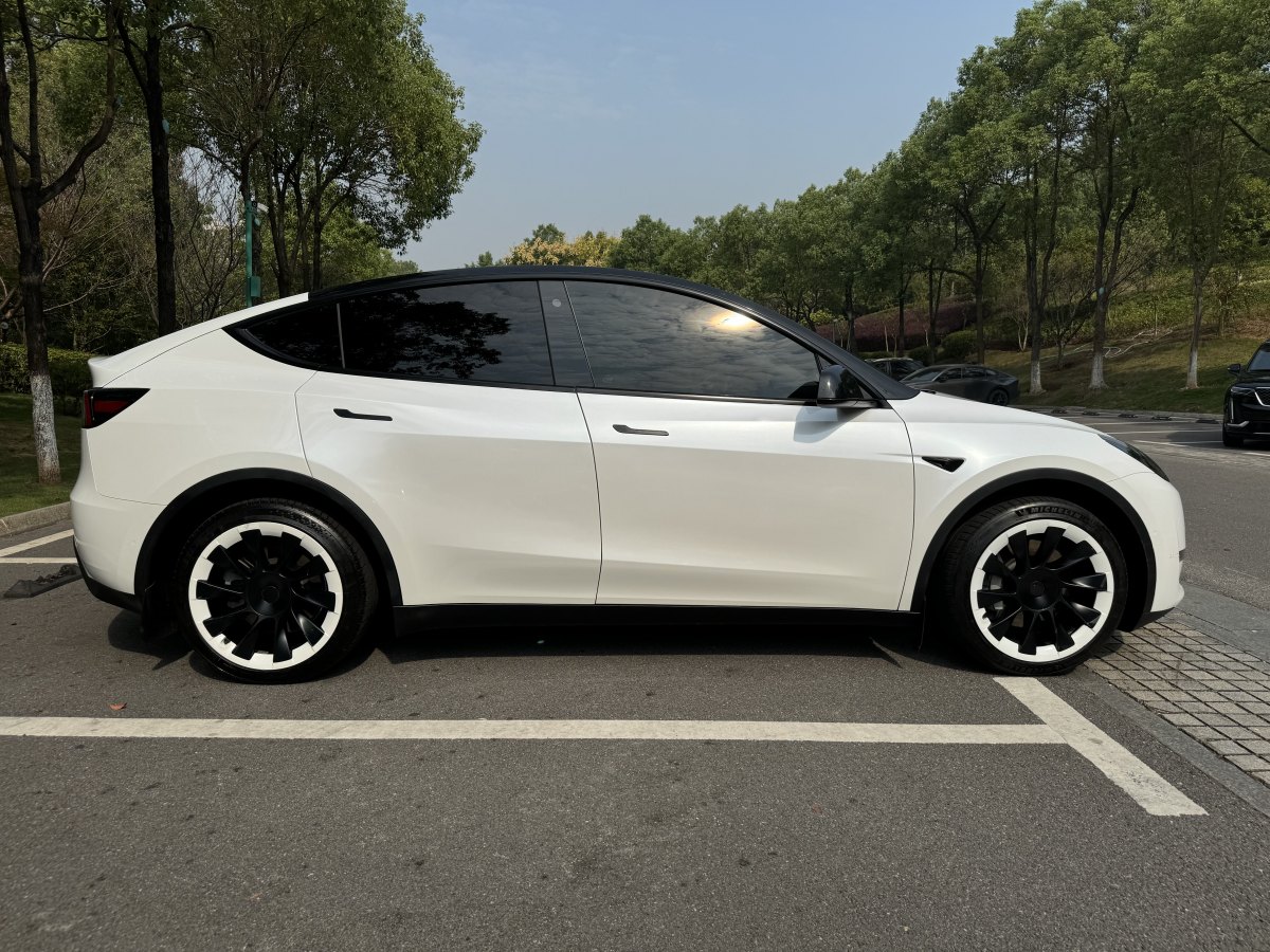 特斯拉 Model Y  2023款 長(zhǎng)續(xù)航煥新版 雙電機(jī)全輪驅(qū)動(dòng)圖片