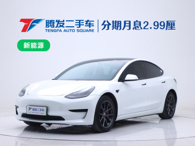 2021年1月 特斯拉 Model 3 标准续航后驱升级版图片