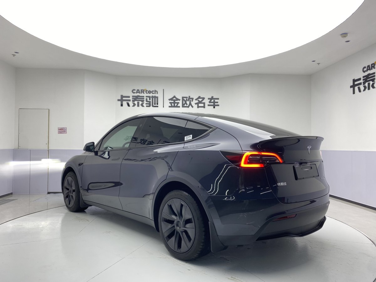 特斯拉 Model Y  2020款 改款 长续航后轮驱动版图片