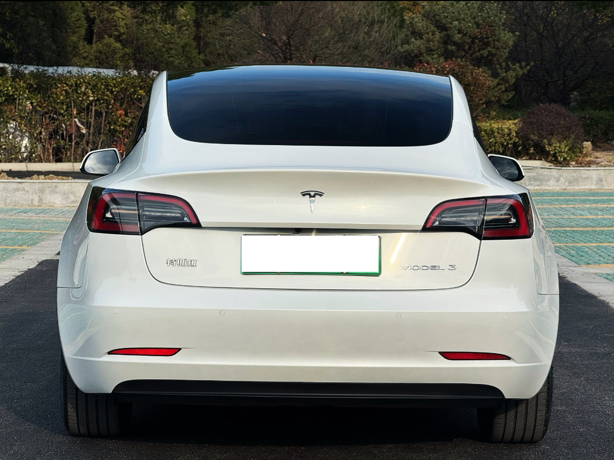 特斯拉 Model Y  2022款 改款 后輪驅(qū)動版圖片