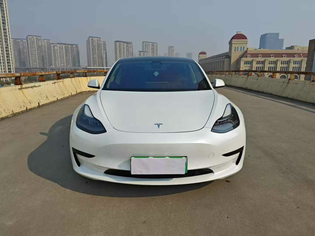 特斯拉 Model Y  2021款 標準續(xù)航后驅(qū)版圖片