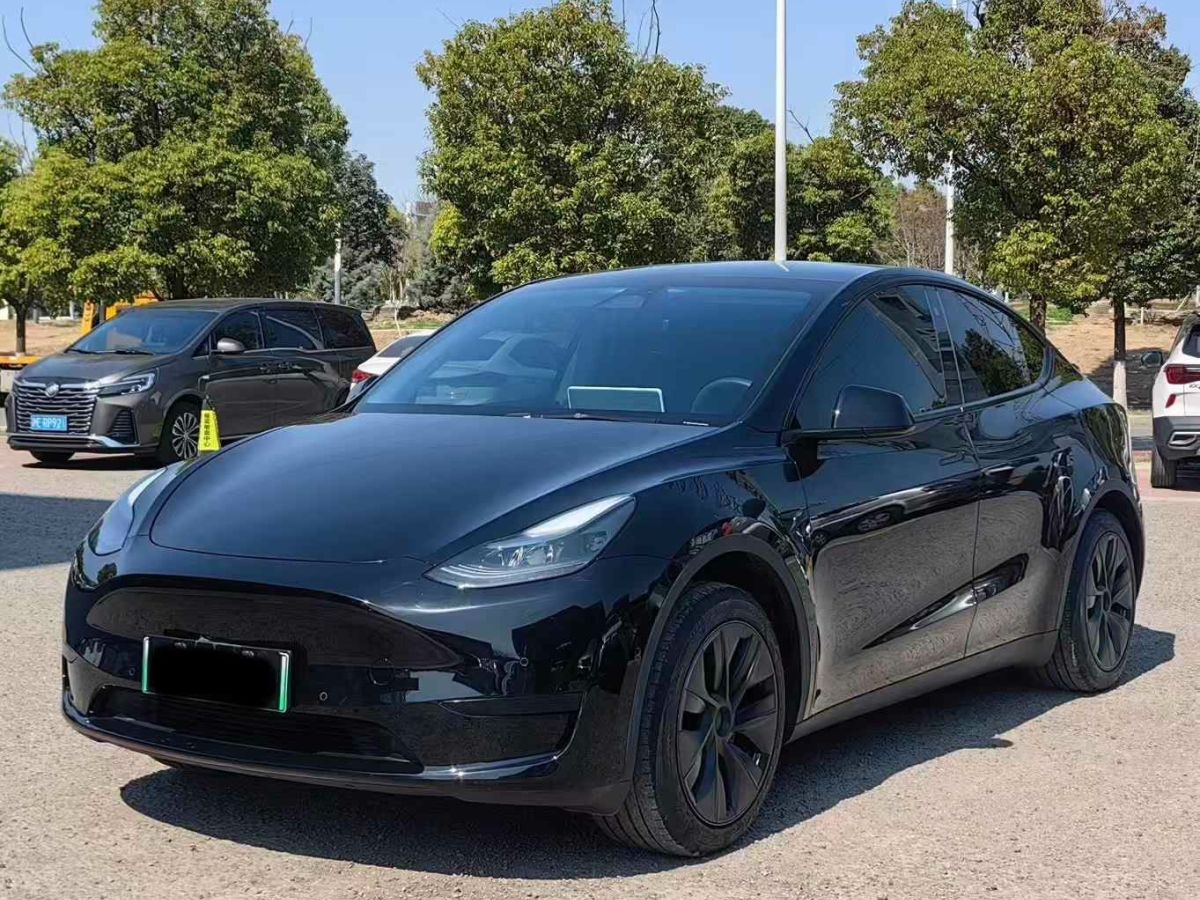 特斯拉 Model Y  2024款 Performance高性能版圖片