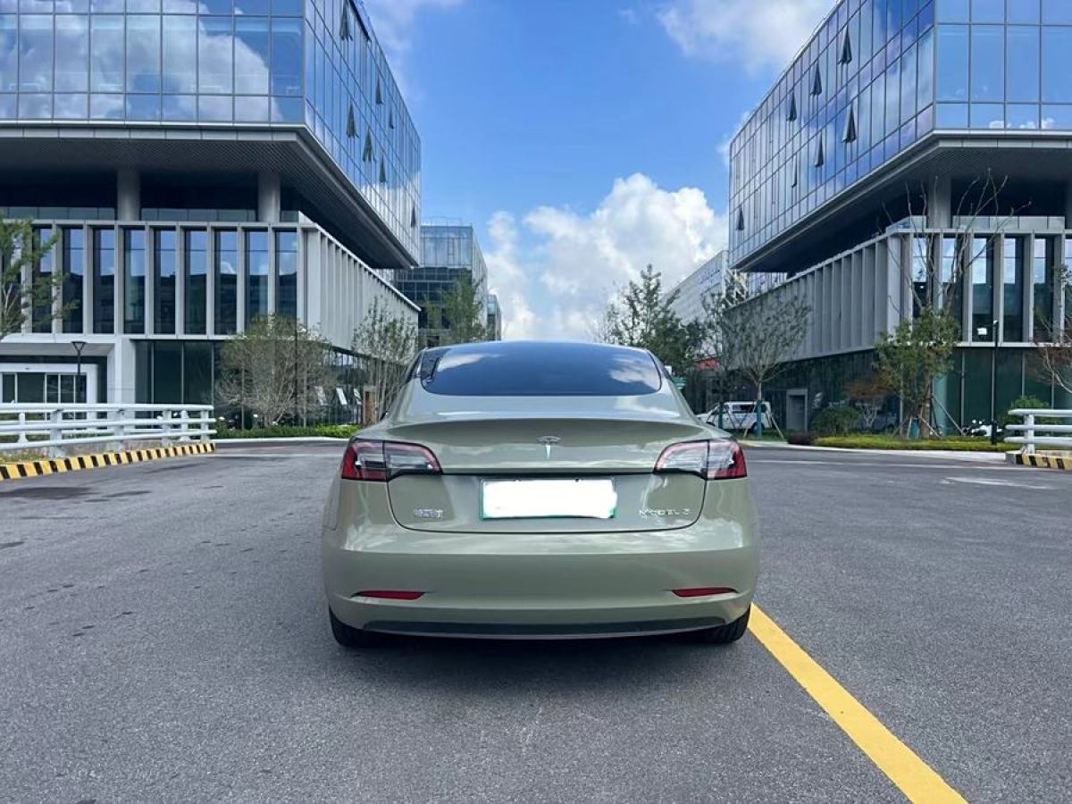 特斯拉 Model 3  2019款 標(biāo)準(zhǔn)續(xù)航后驅(qū)升級版圖片