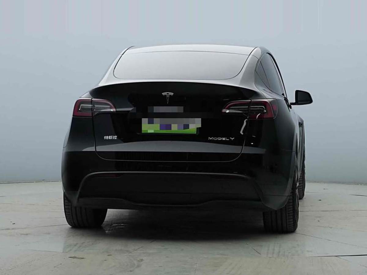 特斯拉 Model Y  2022款 后輪驅(qū)動(dòng)版圖片