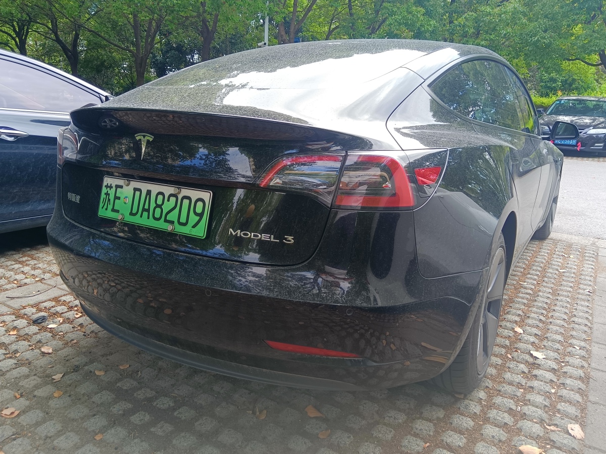 特斯拉 Model 3  2021款 標(biāo)準(zhǔn)續(xù)航后驅(qū)升級(jí)版 3D6圖片