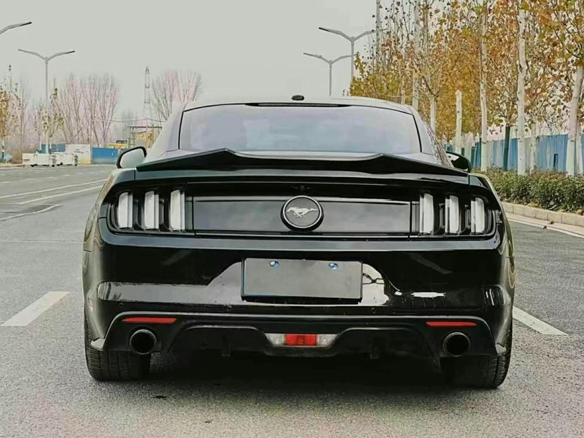 福特 Mustang  2015款 2.3T 性能版圖片