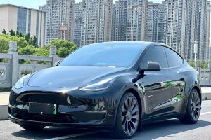Model Y 特斯拉 Performance高性能全輪驅(qū)動(dòng)版