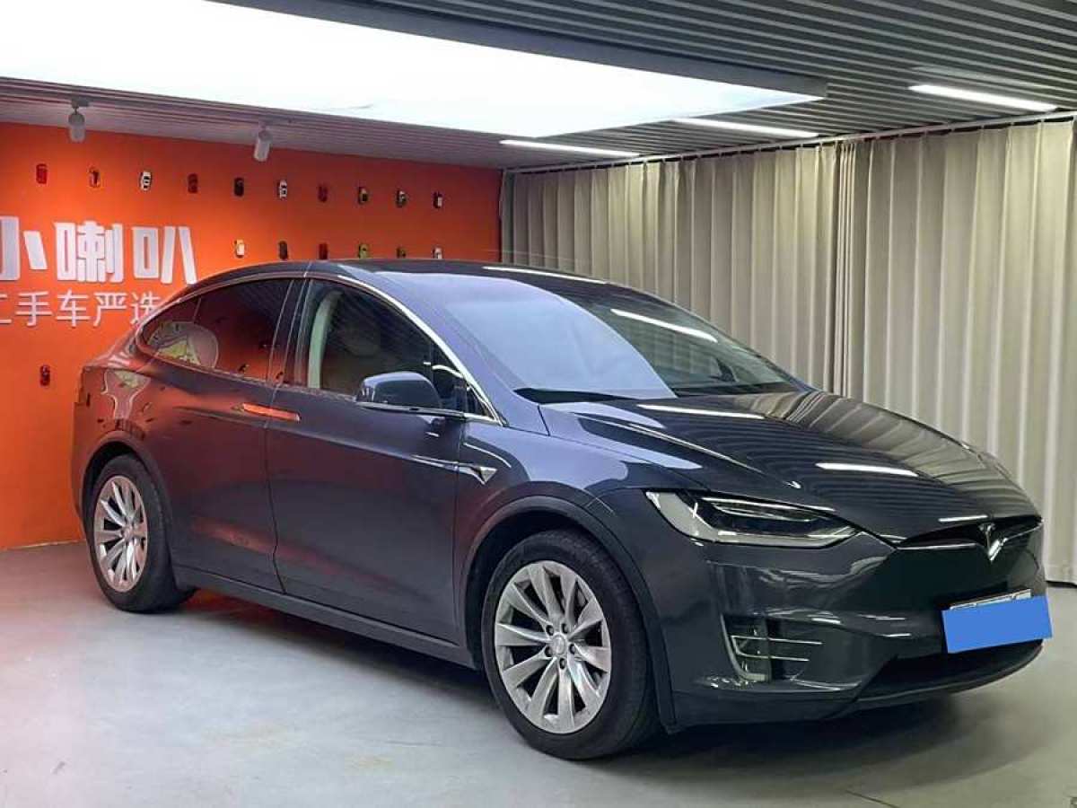 特斯拉 Model X  2016款 Model X 90D圖片