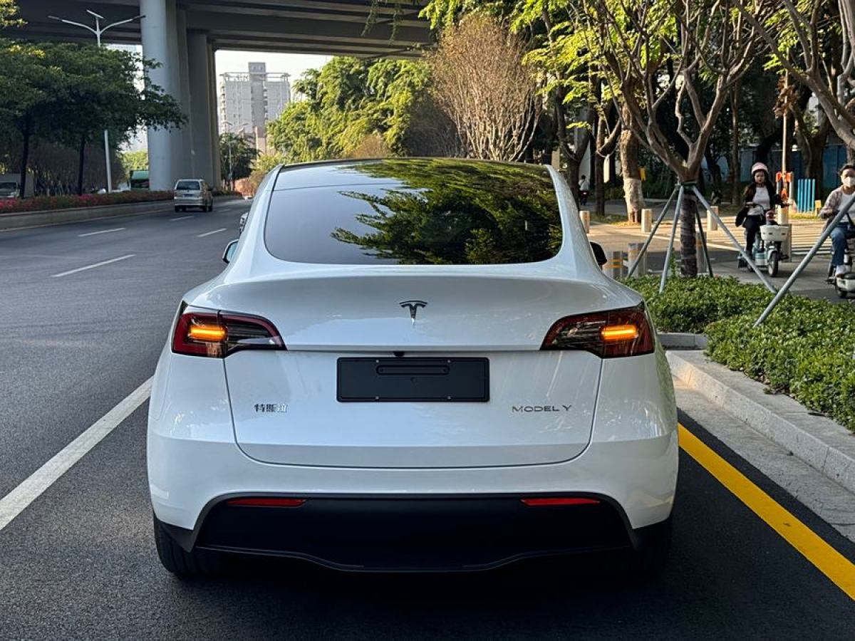 特斯拉 Model 3  2020款 改款 長續(xù)航后輪驅(qū)動版圖片