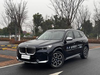 2023年10月 寶馬 寶馬iX1 xDrive30L X設(shè)計(jì)套裝圖片