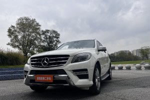 奔驰M级 奔驰 ML 350 动感型