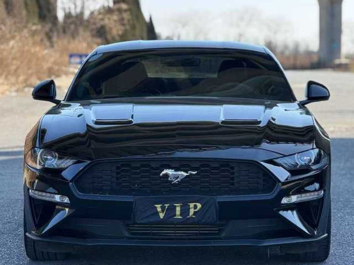 福特 Mustang  2019款 2.3L EcoBoost圖片