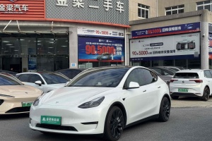 Model Y 特斯拉 Performance高性能全輪驅(qū)動版