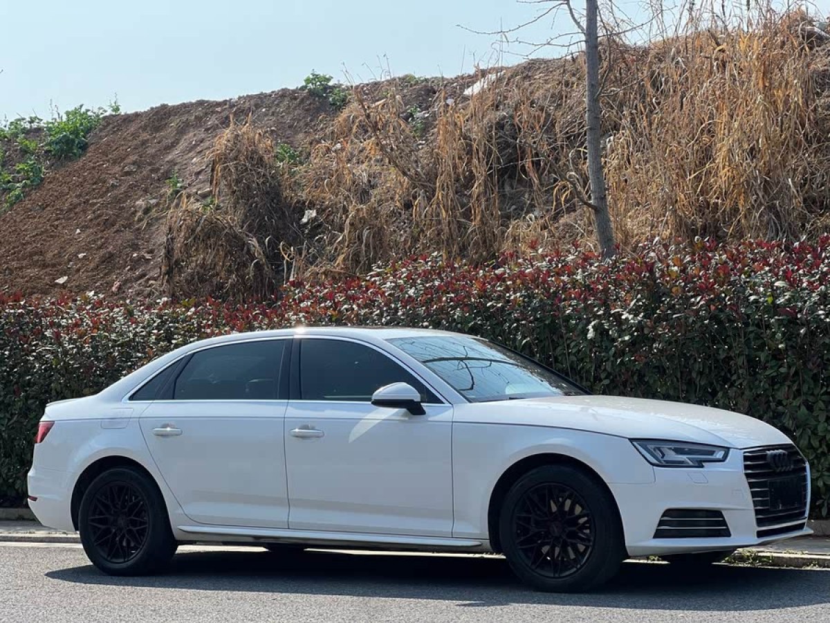 奧迪 奧迪A4L  2018款 30周年年型 40 TFSI 進取型圖片